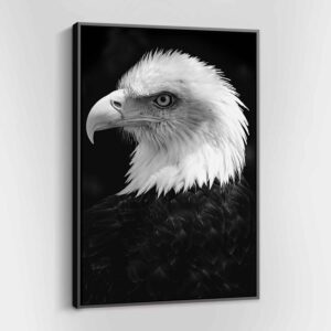 Eagle Bird