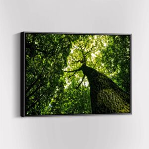Green Tree