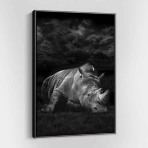 Safari Rhino