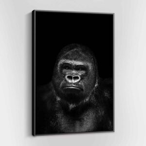 Silverback Gorilla